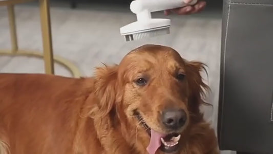 Deshedding Pet Brush for Dogs & Cats – Self-Cleaning Brush, Reduces Shedding & Mats
