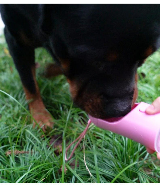 Portable Pet Water Bottle - The Ultimate Travel Companion For Your Furry Friend-1