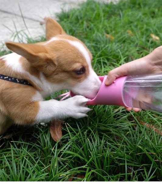 Portable Pet Water Bottle - The Ultimate Travel Companion For Your Furry Friend-0
