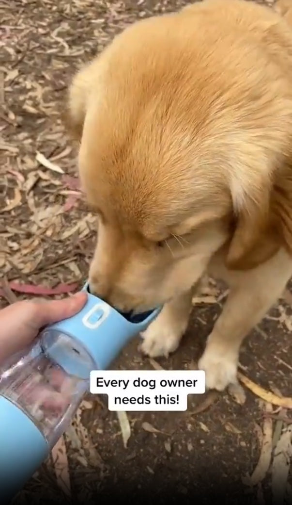 The All-In-One Premium Dog Travel Bottle