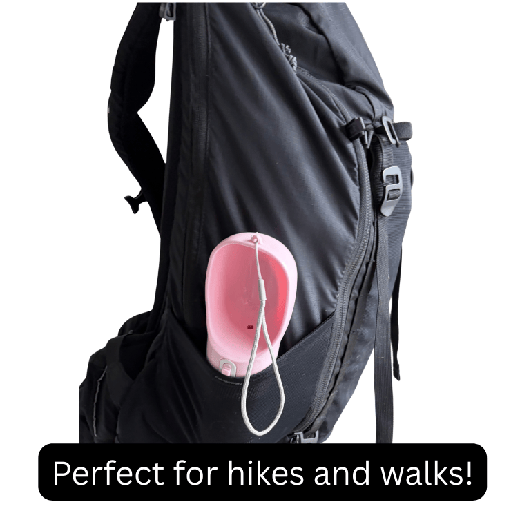 The All-In-One Premium Dog Travel Bottle