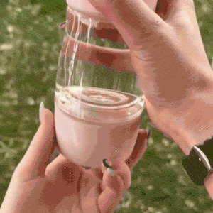 Smart-Travel 3-in-1 Dog Water Bottle