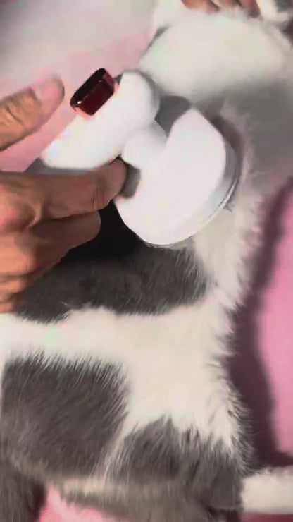 Deshedding Pet Brush for Dogs & Cats – Self-Cleaning Brush, Reduces Shedding & Mats